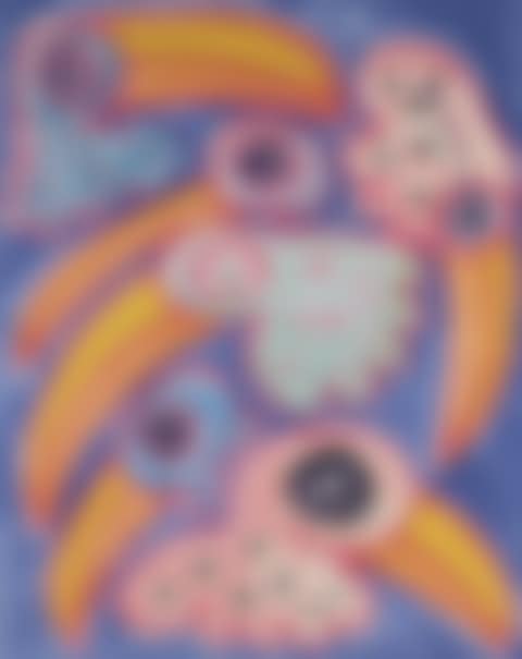Toco Toucan Toucano (preview)