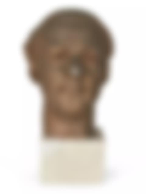 Portrait Head (preview)