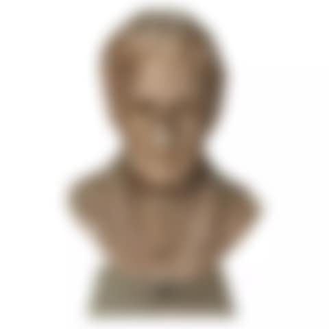 Male portrait bust (preview)