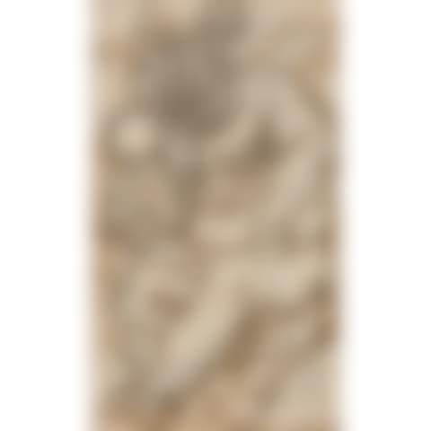 PETIT BACCHUS IVRE; Young drunken Bacchus (preview)