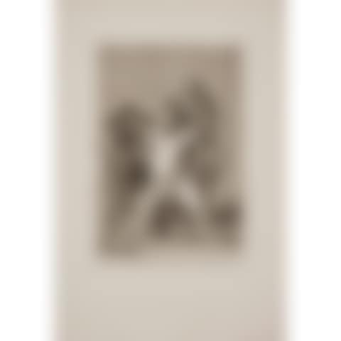  SERIES OF CAPRICES, PLATE 76, THIS UM? WELL, AS I SAY... BE CAREFUL AND DON'T (preview)