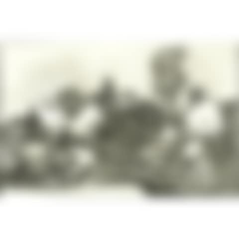 CARNIVAL DISPARATE. Plate 14 from the PROVERBS series (preview)