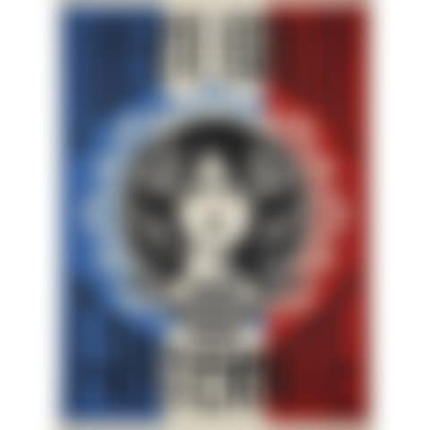 LIBERTÉ ÉGALITÉ FRATERNITÉ (preview)
