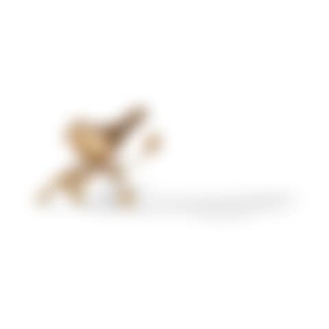 TEENY BELL (preview)