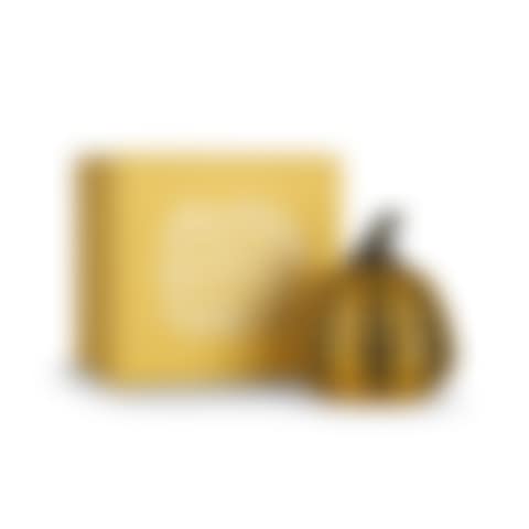 PUMPKIN YELLOW (preview)