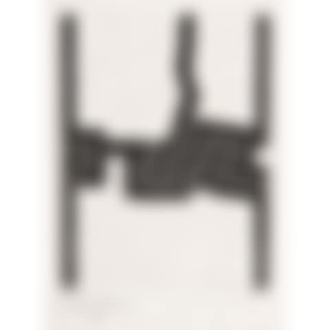 perineum (preview)