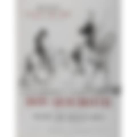 DON QUICHOTTE (preview)