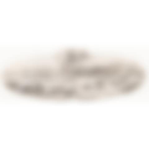 SEAL OF THE RE ISLANDS (preview)