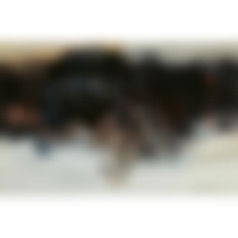 SANS TITRE (preview)