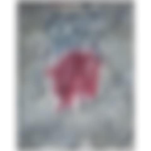 COMPOSITION BLANCHE CENTRE ROUGE (preview)
