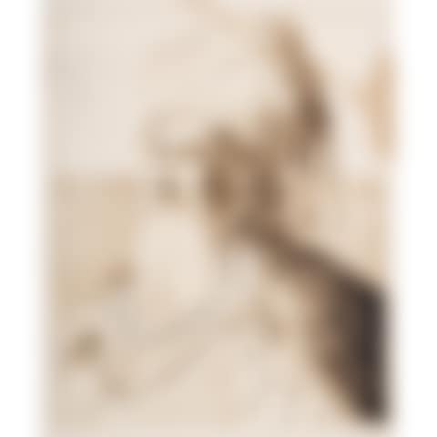 Portrait du Sultan Memehet, d"après une gravure (preview)