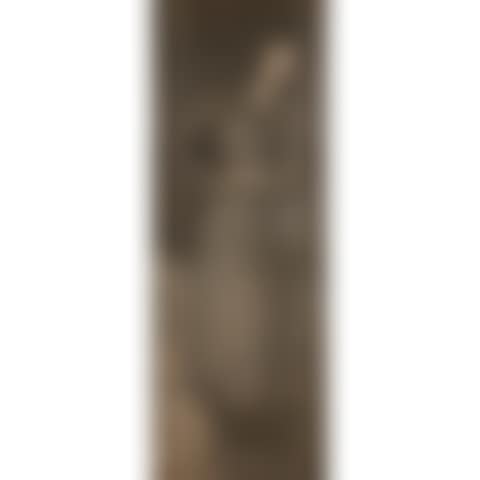 Portrait d"Élise (fragment d"un ensemble décoratif, panneau gauche); Portrait of Élise (fragment from a decorative set, left panel) (preview)