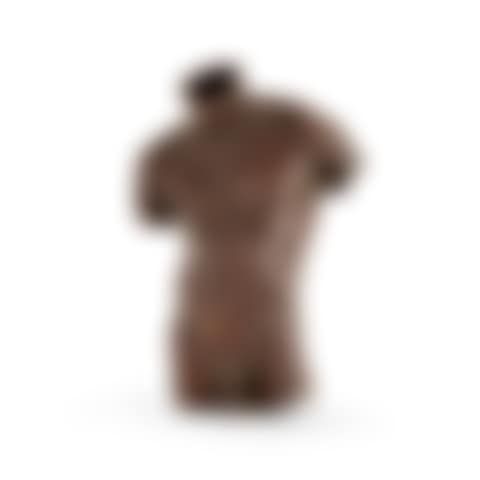 Torse (preview)