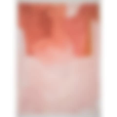 COMPOSITION EN ROSE - COMPOSITION EN BLEU GRIS ET ROUGE : deux planches pour Parménide (preview)