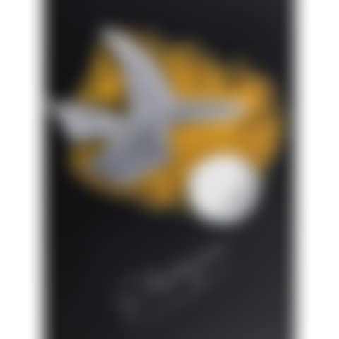 OISEAU CÉLESTE (preview)