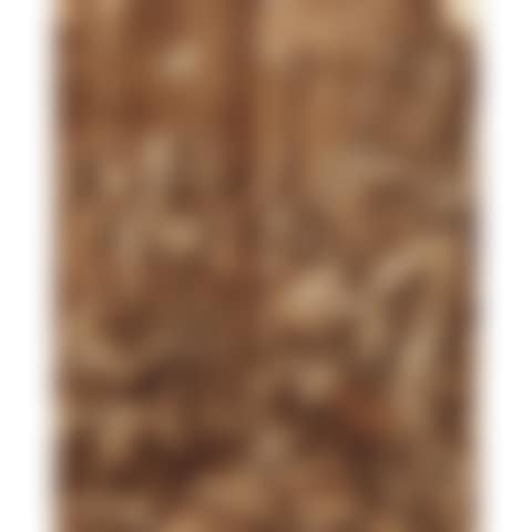 Scene from the biblical story (preview)