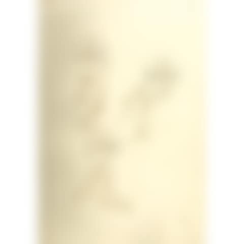 Collection of 90 Masonic drawings (preview)