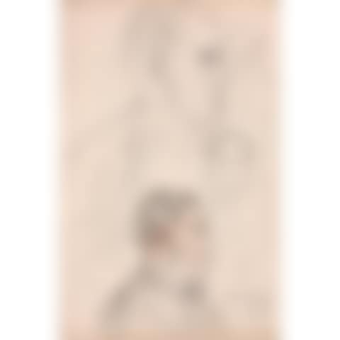 Collection of 10 drawn sheets of portrait-charges of the entourage of the Valpinçon family made in 1862 at the Château du Ménil-Hubert (preview)