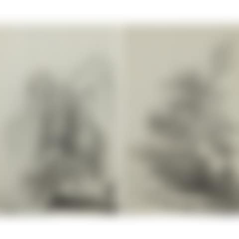 Pair of landscapes (preview)