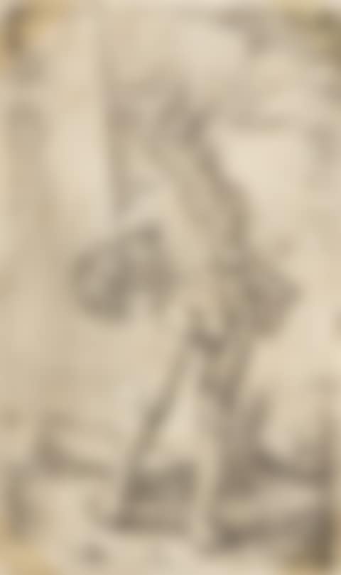 Standard Bearer (preview)