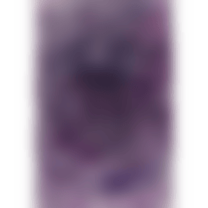 Chip (preview)