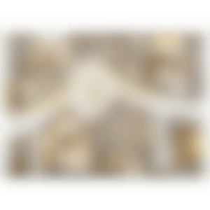 HOME + ANGEL (preview)