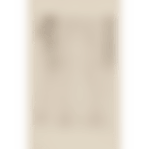STAINED-GLASS WINDOW (Jacob 26) (preview)