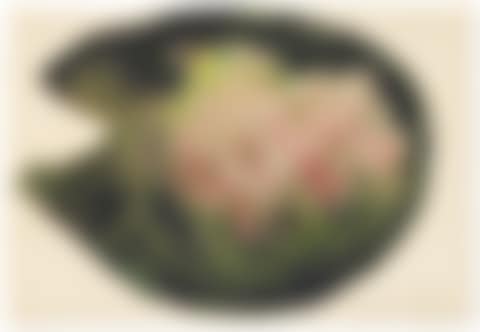 Tropical Foliage Study (preview)