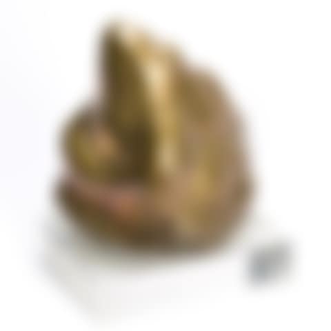Frog (preview)
