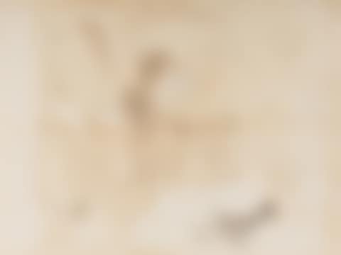Untitled (Study for Pirate) (preview)