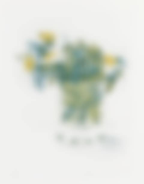 Marguerites (preview)