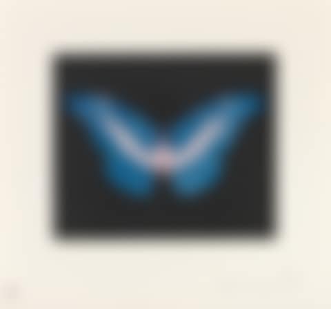 To Belong - Butterfly (preview)