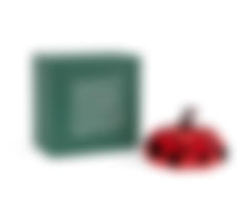 Naoshima Red Pumpkin (preview)