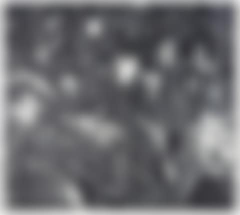 Dark Garden 4 (preview)