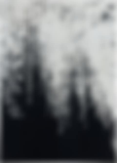 You lean against a silver-willow…flowers drifting widespread in the water (preview)