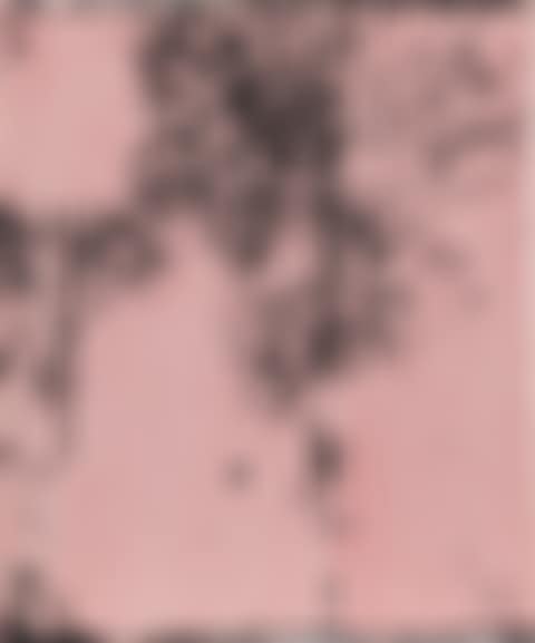 La vie en rose (E. Piaf) (preview)