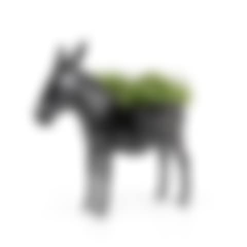 Âne planté (preview)