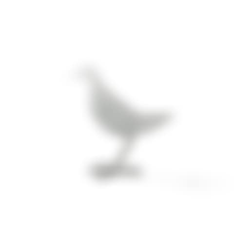 Secrétaire Oiseau d'argent (preview)