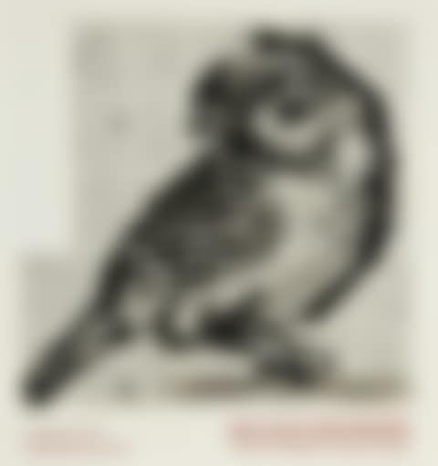 Notes Towards a Model Opera Goodman Gallery exhibition poster (preview)