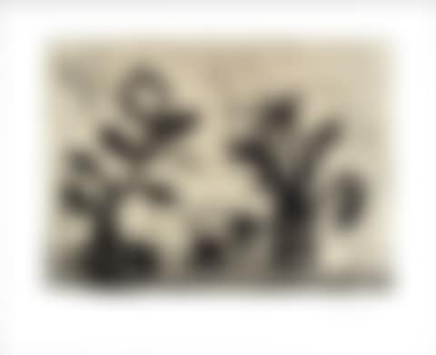 Lexicon (Forest) (preview)