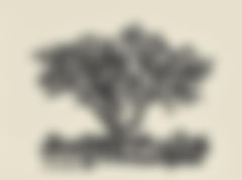 The bird and it's watcher (preview)