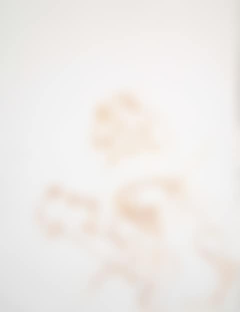 Anthropomorphic figure (preview)