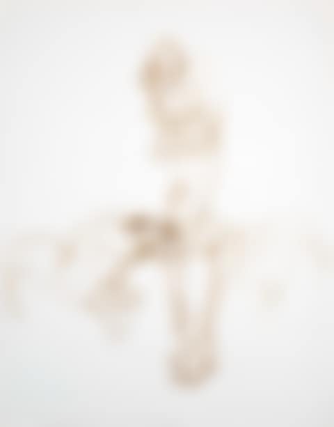 Figure with animal (preview)