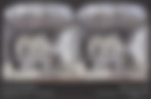 What Will Come exhibition poster (preview)
