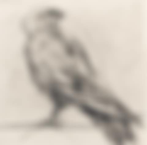 Bird (from The Magic Flute Portfolio) (preview)