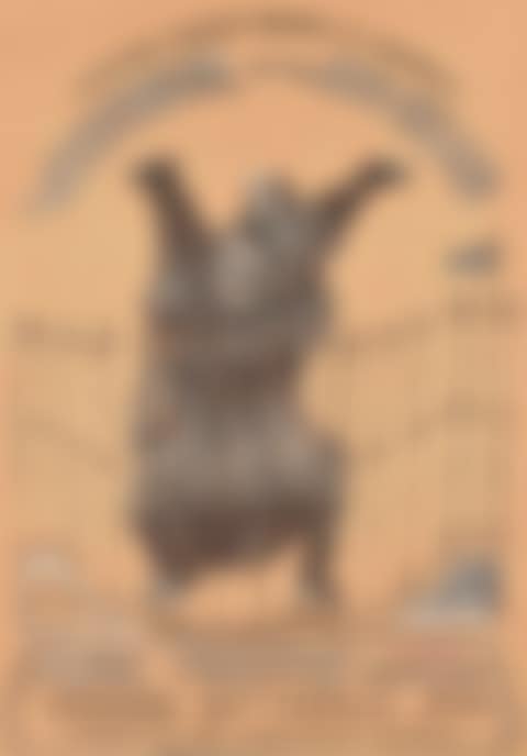 Woozebear and the Zoo-Bears (preview)
