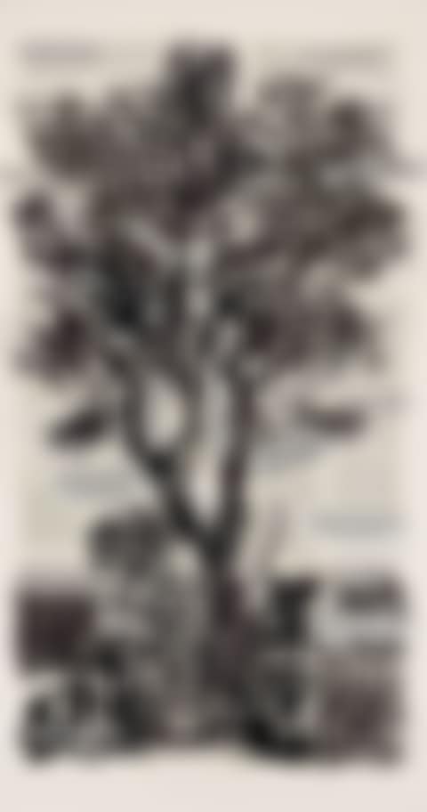 If You Have No Eye (preview)