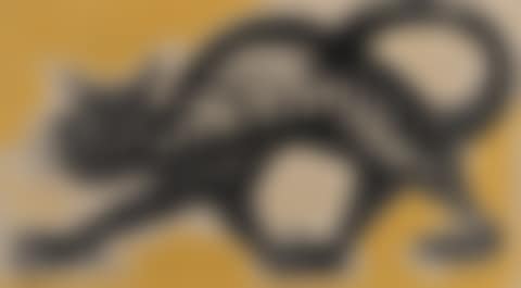 Cat (preview)