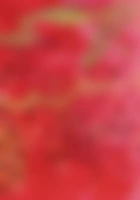 Ohne Titel (preview)