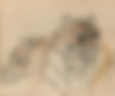 Zwei stolze Tiger (preview)